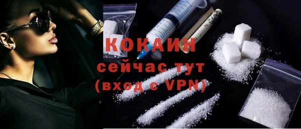 прущие грибы Костерёво