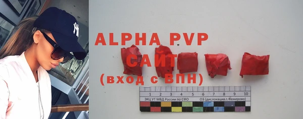 трава Лабытнанги