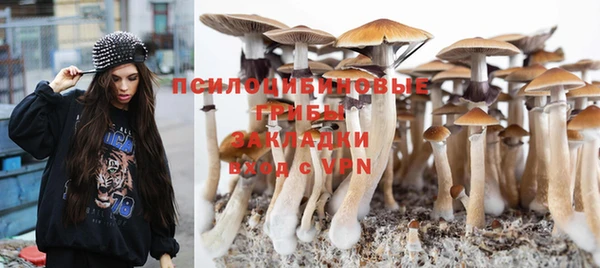 трава Кулебаки