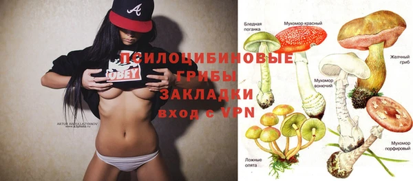 СК Ладушкин