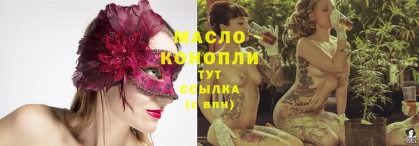 дживик Корсаков