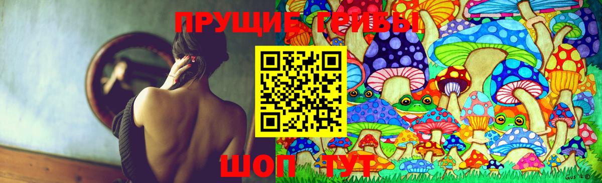 Галлюциногенные грибы Magic Shrooms Михайловка
